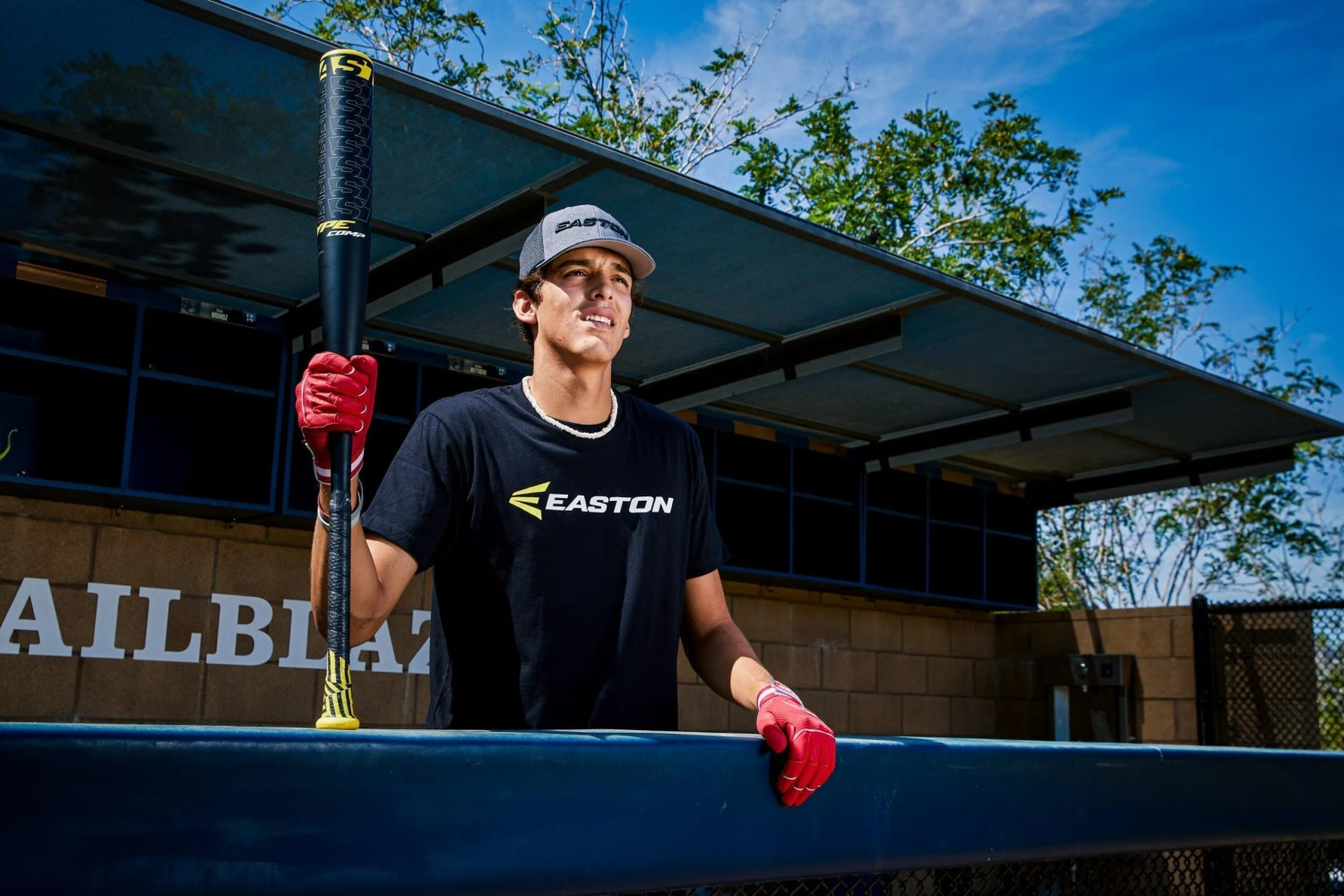 2023 Easton HYPE Comp (-3) BBCOR Baseball Bat: BB23HC - Image 6